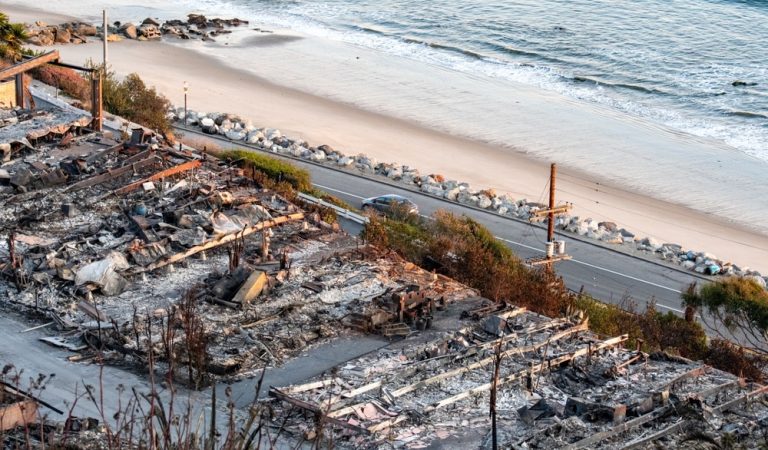 Pacific Palisades wildfire aftermath
