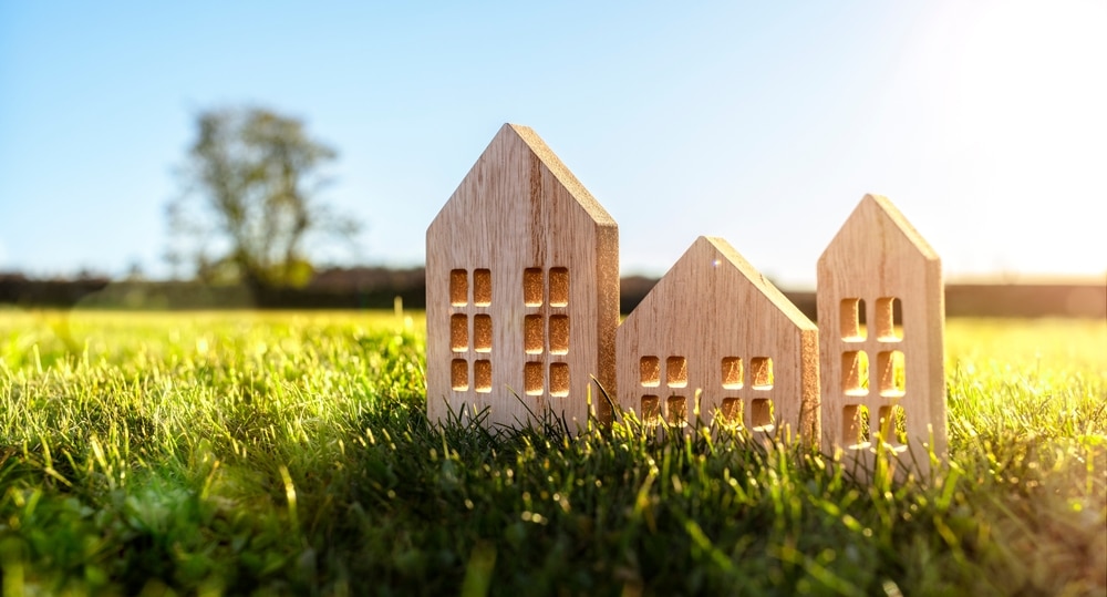 rural housing crisis manipulation