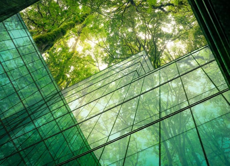 climate policy power control