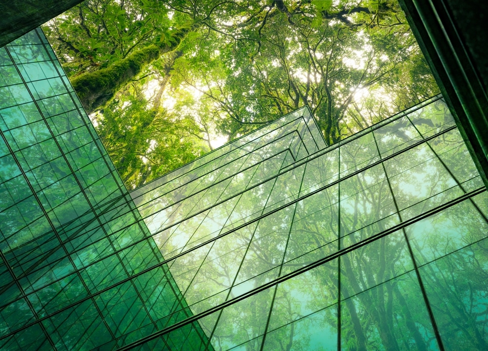 climate policy power control