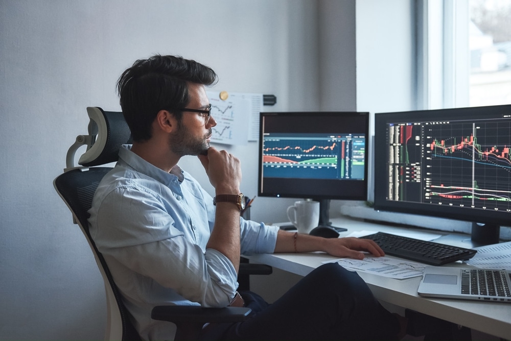 myth of stock ownership
